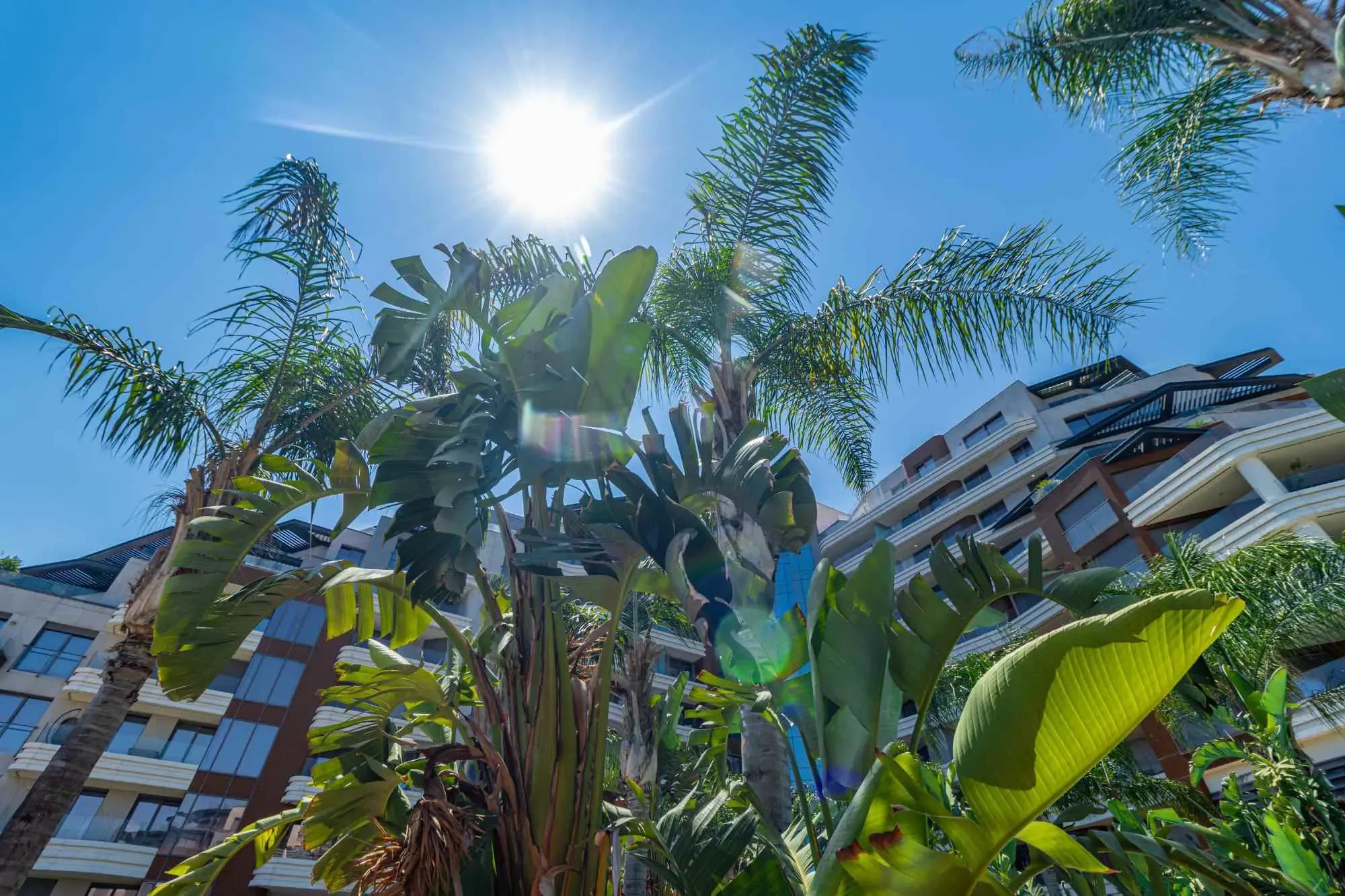 Konyaaltı'nda Denize Sıfır 4+1 Full Manzara Sun Is Blue Residence fotoğraf 50